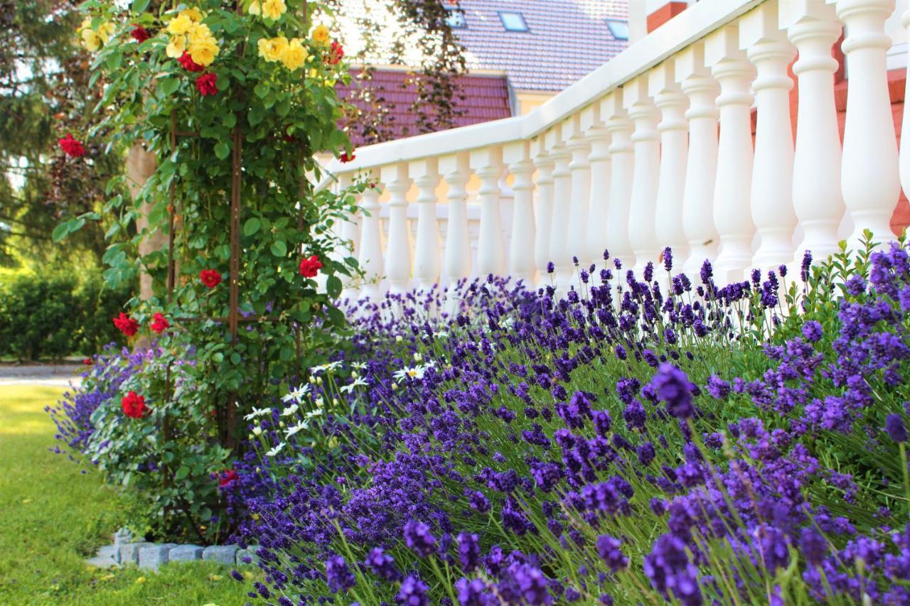 Rosen Villa Kappeln Bagian luar foto